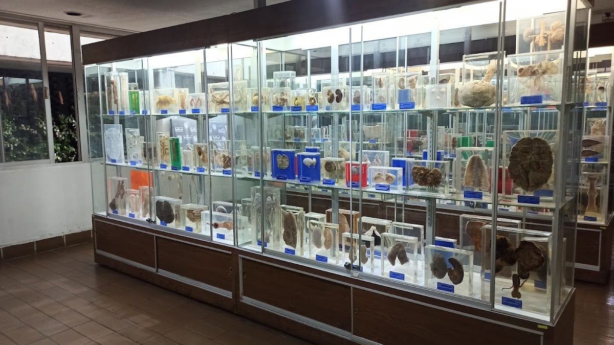 Museo de Anatomía Patológica