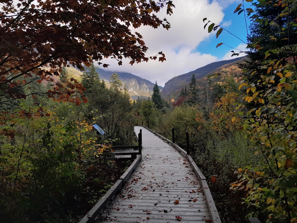 Barnes Camp Boardwalk