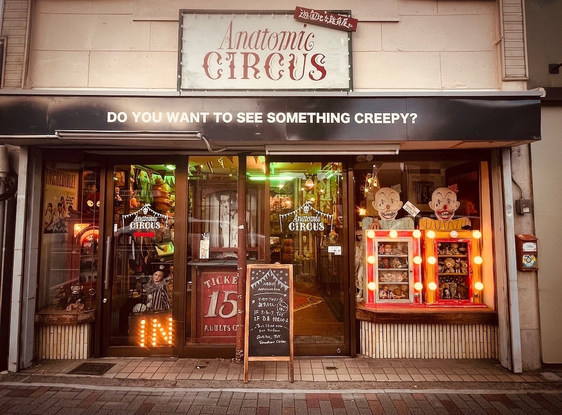 Anatomic circus - 京都