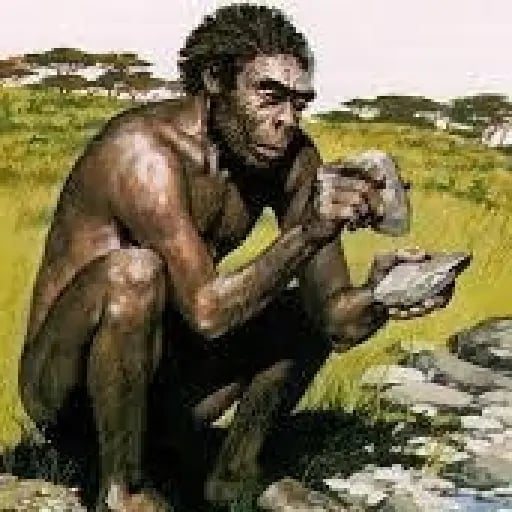 el humano se distingue por ser racional - "No, racionalidad hay en todos lados"