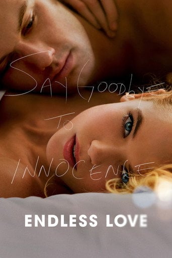 Endless Love - Shana Feste · 2014