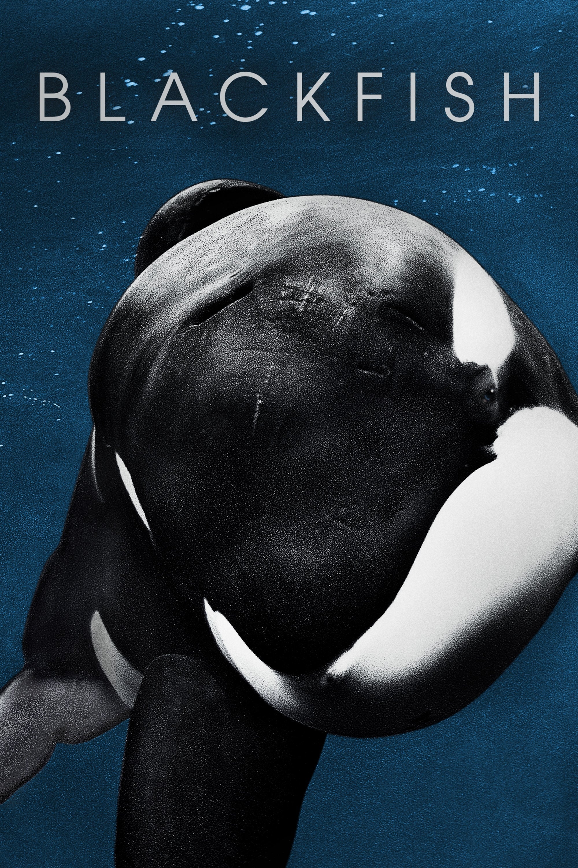 Blackfish - Gabriela Cowperthwaite · 2013