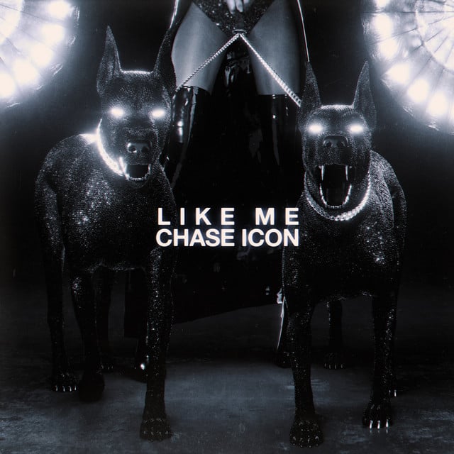 Like Me - Song · Chase Icon