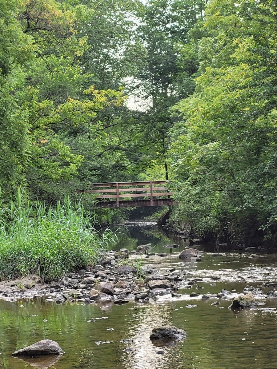 Taylor Creek Park