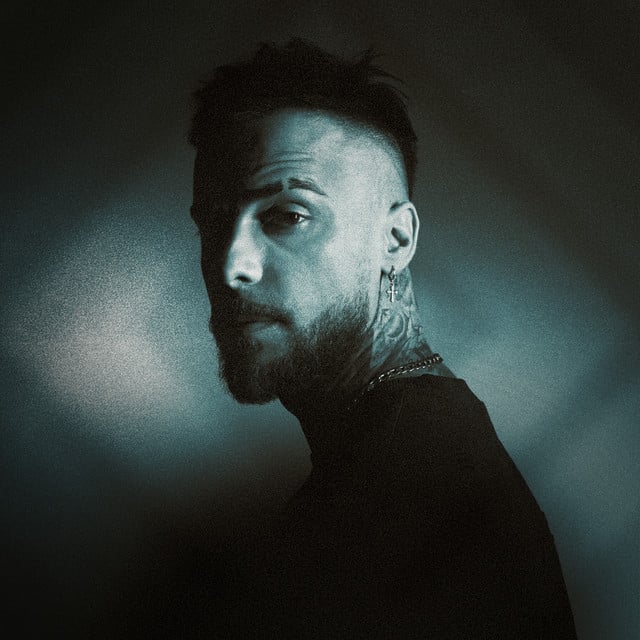 Diogo Piçarra - Artist