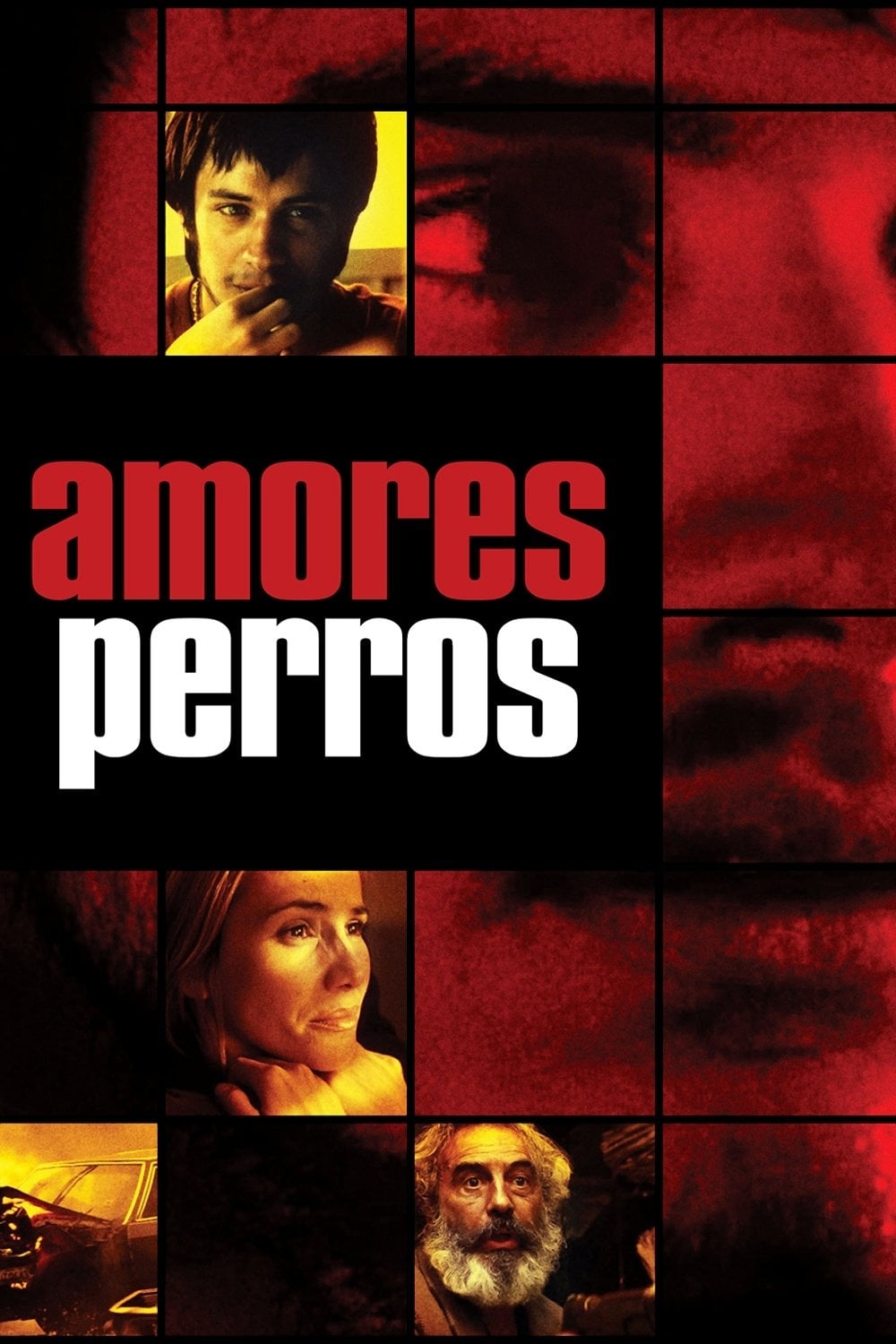 Amores perros - Alejandro González Iñárritu · 2000