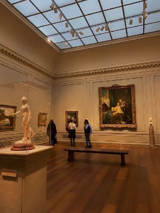 Visitar museos y galerías