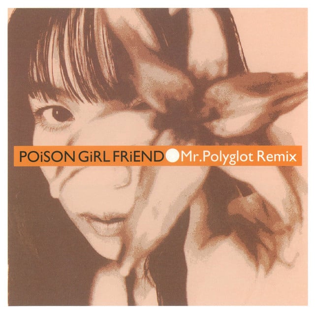 Mr. Polyglot - radio reconstruction mix - Track · POiSON GiRL FRiEND