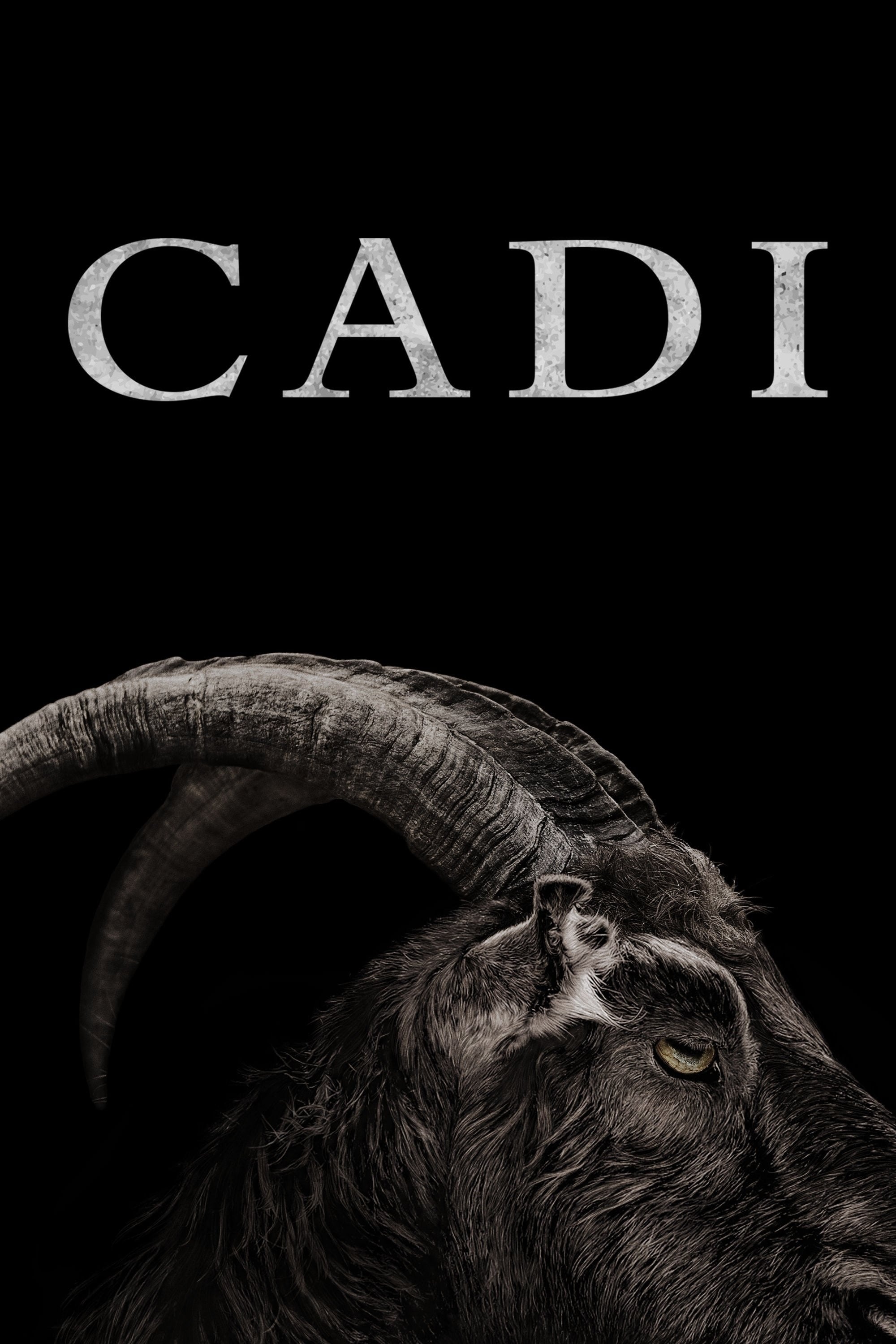 Cadı - Robert Eggers · 2016