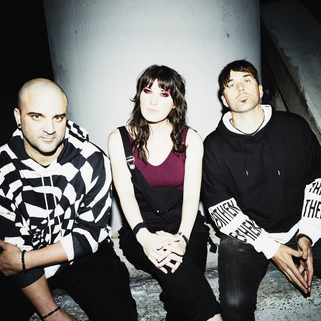 SICK PUPPIES - Artist