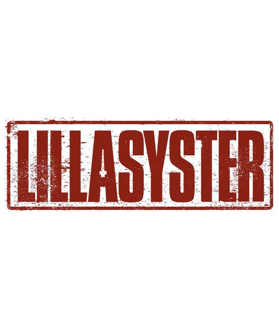 Lillasyster - Artist