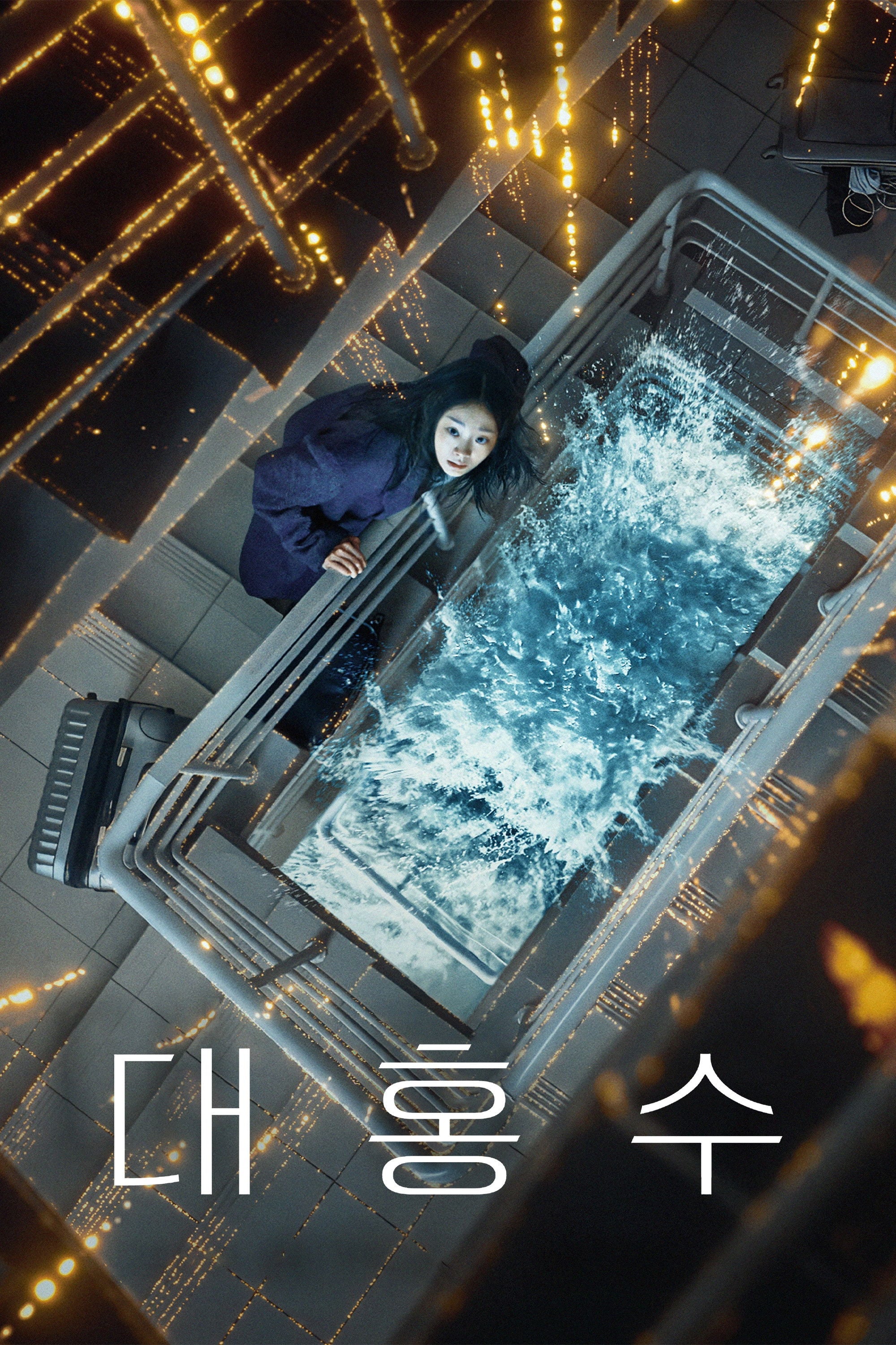 The Great Flood - 김병우 · 2025