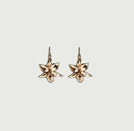 Aretes dorados