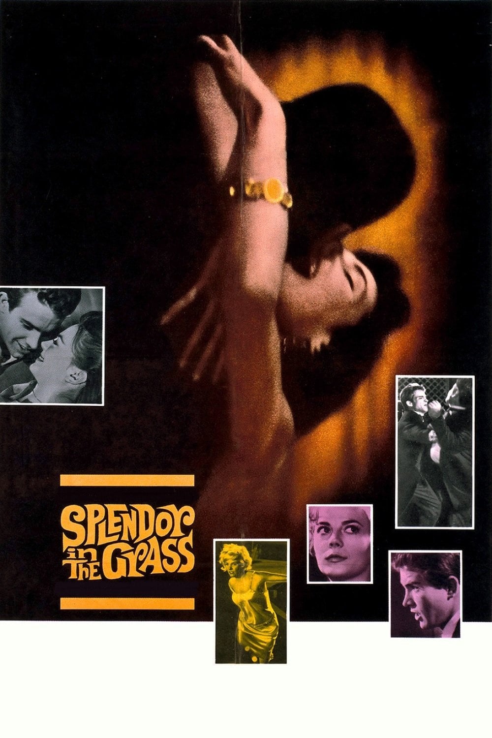 Splendor in the Grass - Elia Kazan · 1961