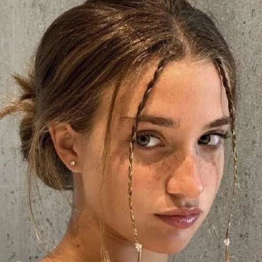 Moño con dos mini trenzas