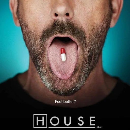 Dr. House - David Shore · 2004