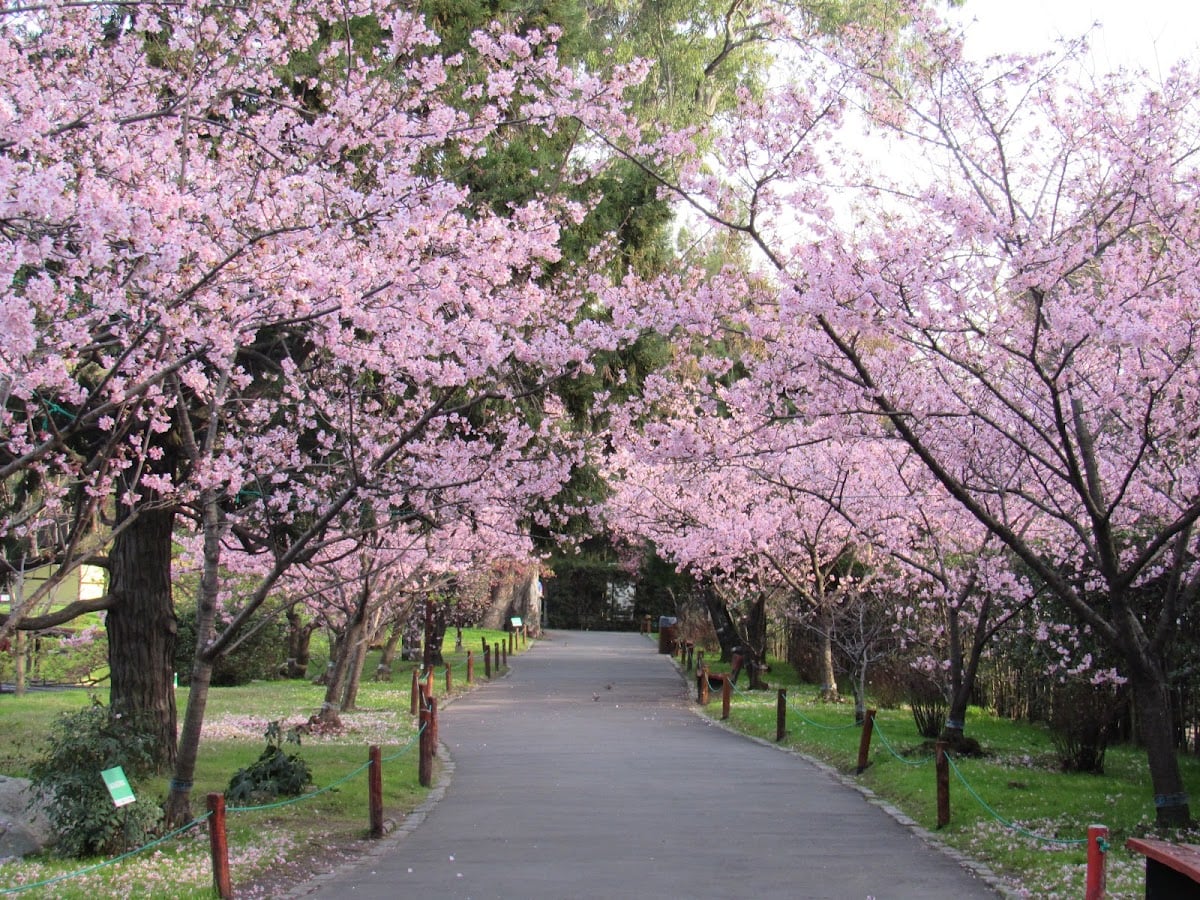 JardΓn JaponΓ©s