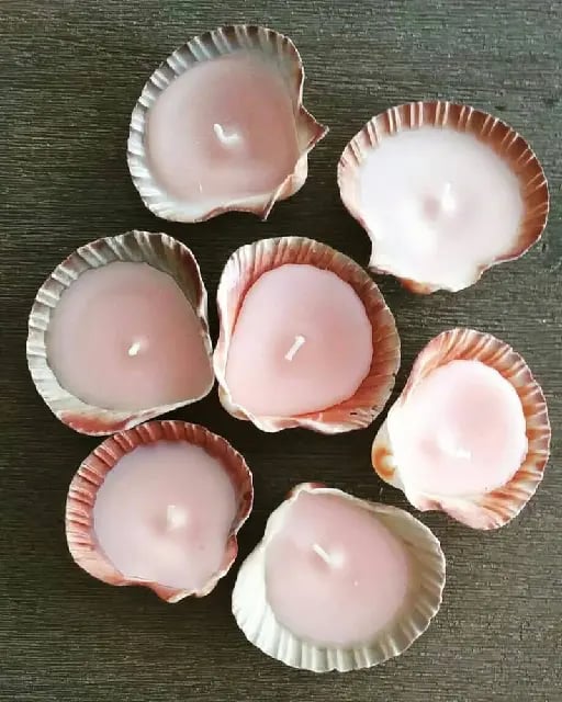 Shell Candles
