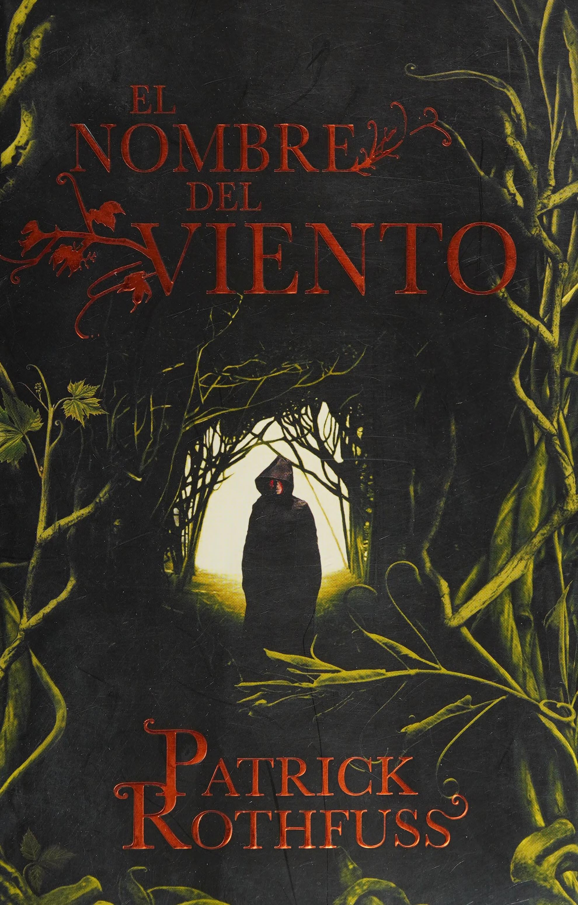 El nombre del viento - ROTHFUSS • 2013