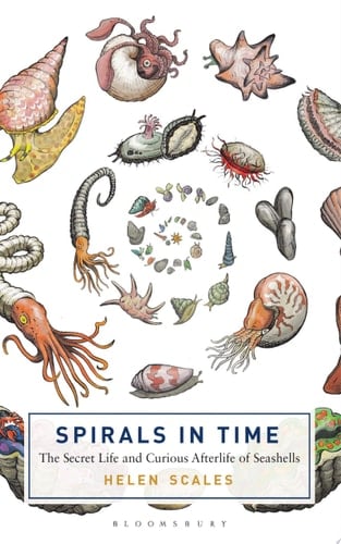 Spirals in Time: The Secret Life and Curious Afterlife of Seashells - Helen Scales · 2015