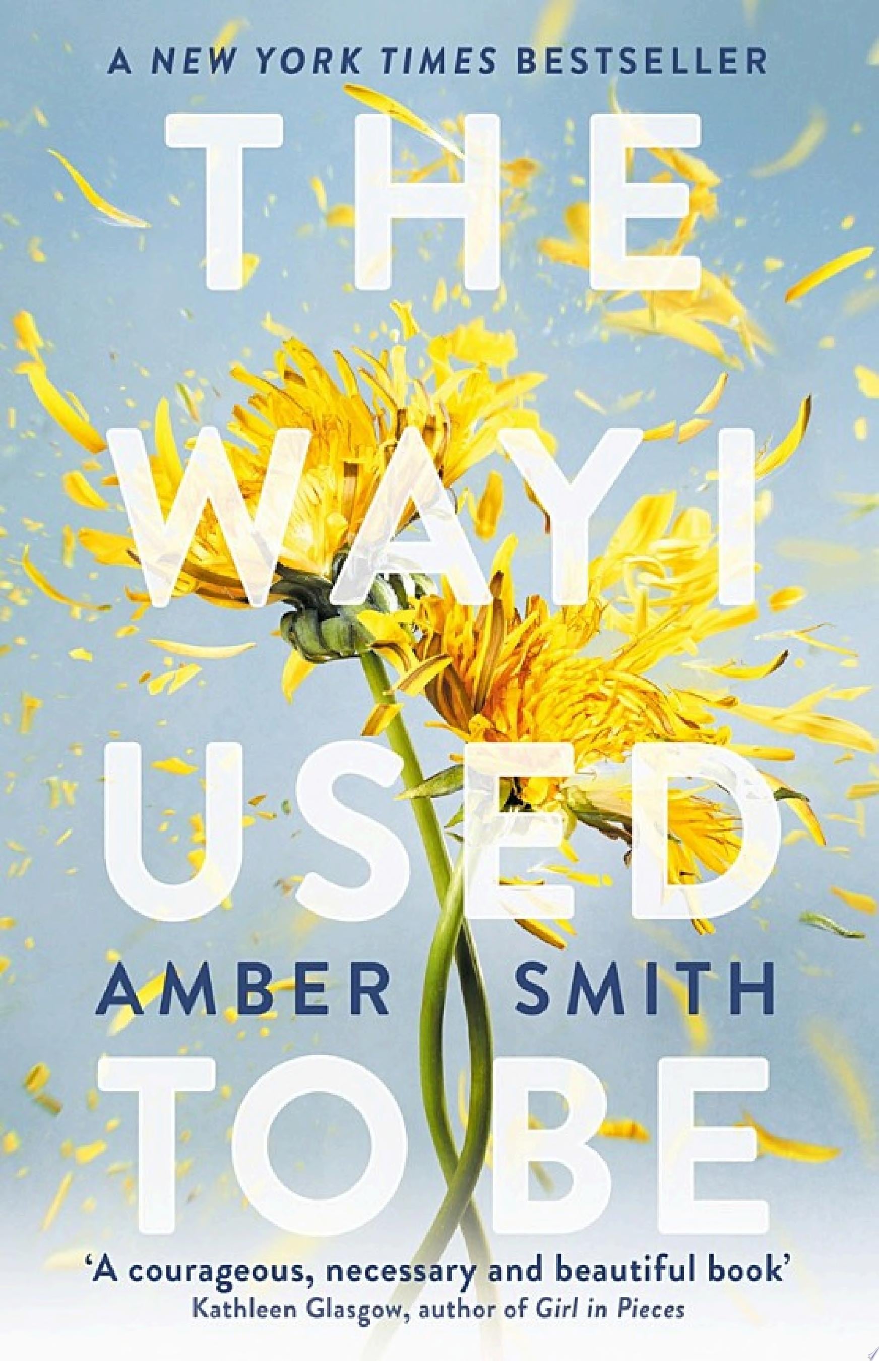 The Way I Used to Be - Amber Smith · 2022