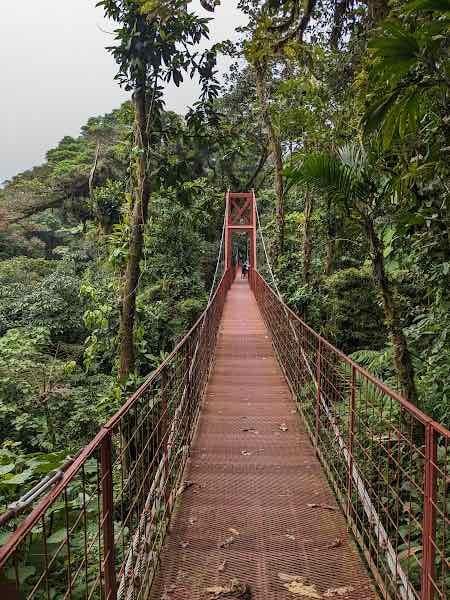 Monteverde Cloud Forest Biological Preserve