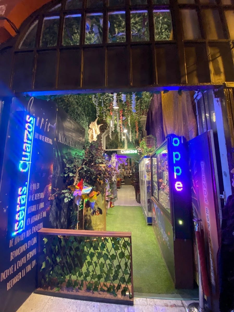 The Magickal Shoppe