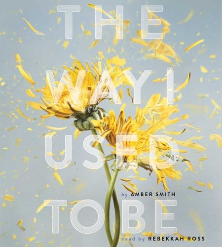 The Way I Used to Be - Amber Smith · 2016
