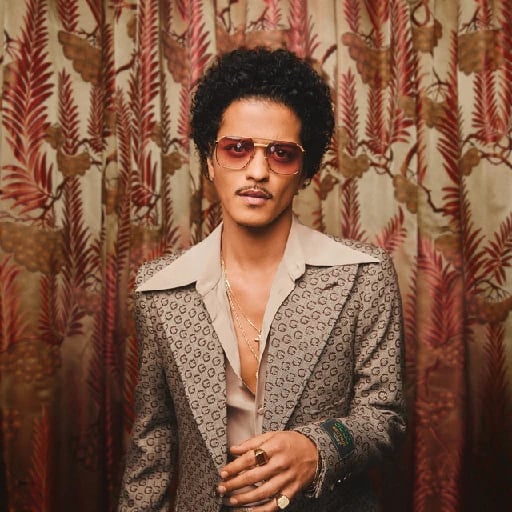 Bruno Mars - Artist