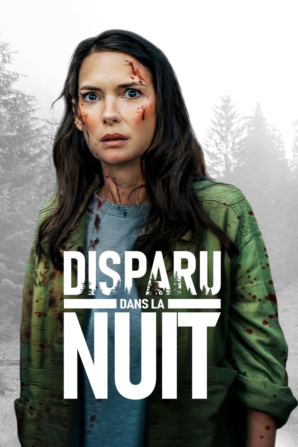 Disparu dans la nuit - Eli Horowitz · 2022