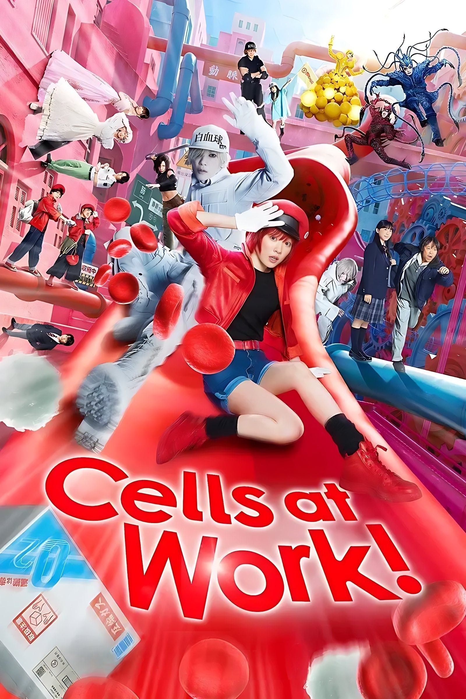 Cells at Work! - Hideki Takeuchi · 2024