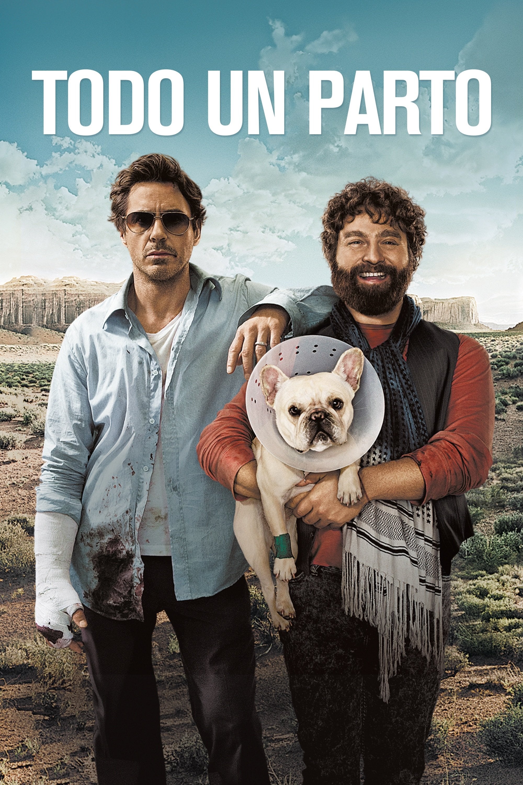 Todo un parto - Todd Phillips · 2010