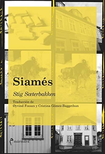 Siamés - Stig Sæterbakken · 2022