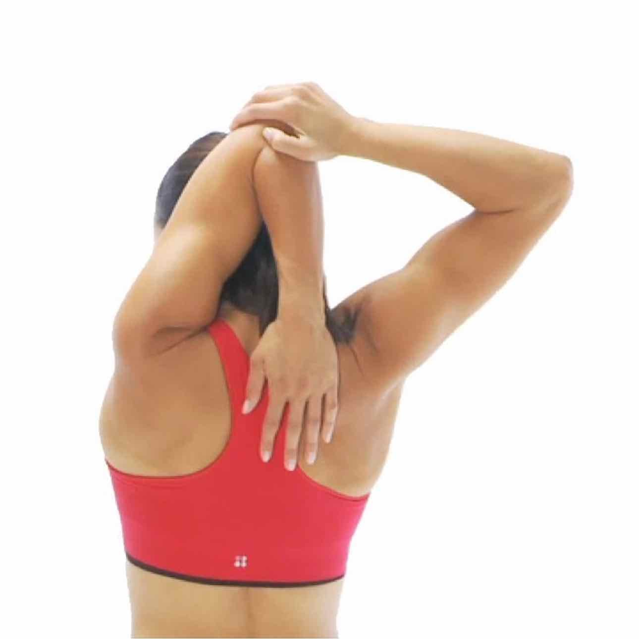Triceps Stretch