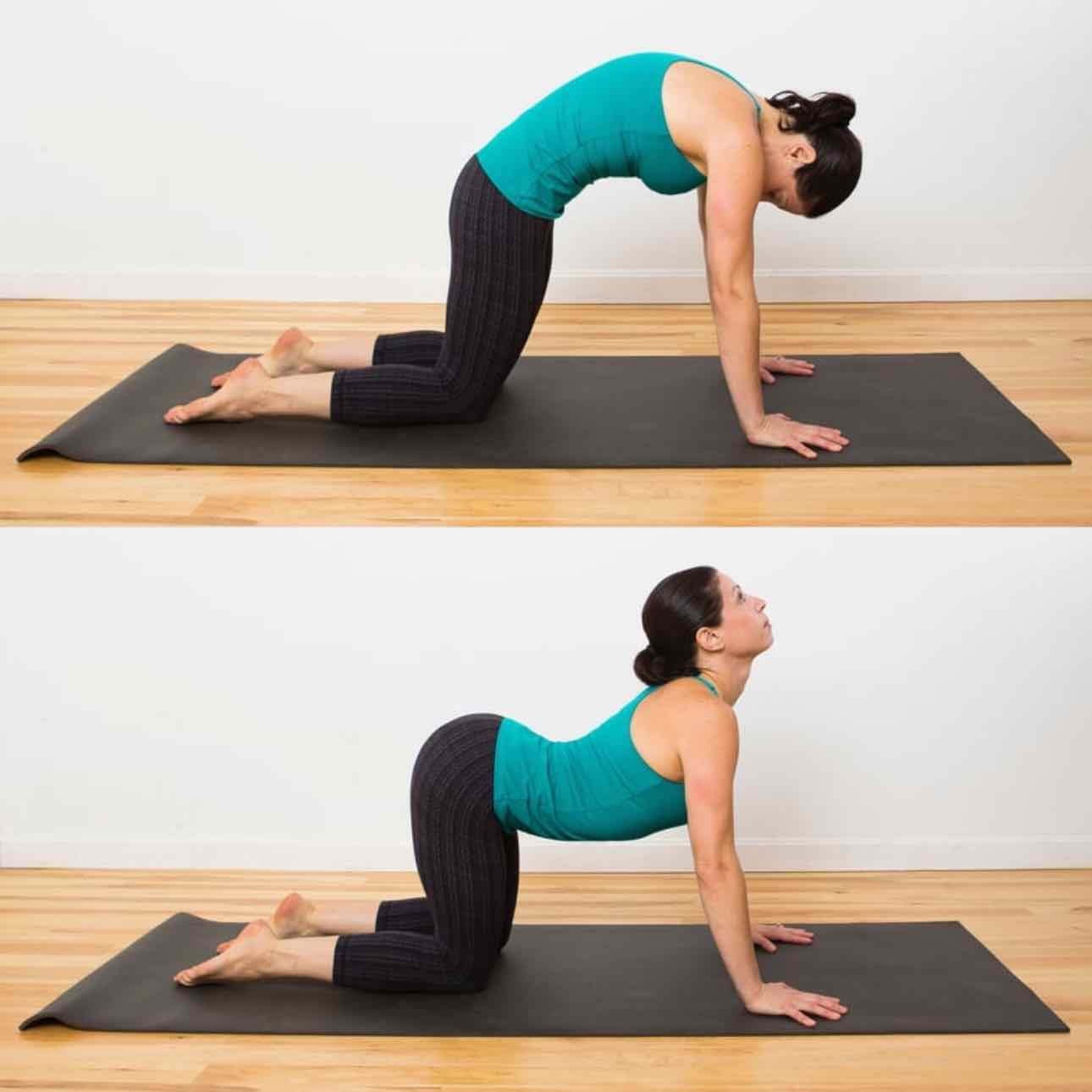 Cat-Cow Stretch - Marjaryasana-Bitilasana