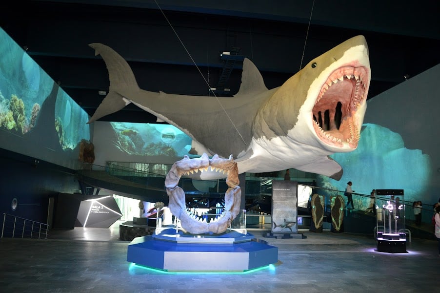 Museo de la Evolución Puebla - Museum · Centro histórico de Puebla, Heroica Puebla de Zaragoza