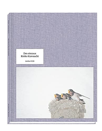 Des oiseaux - Guilhem Lesaffre · 2021
