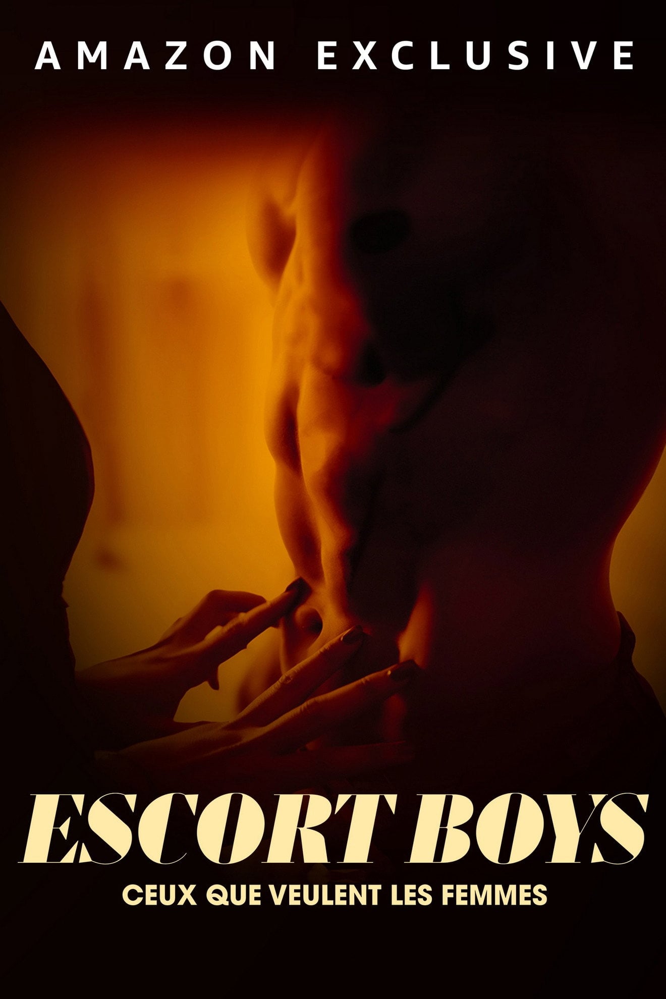 Escort Boys : ceux que veulent les femmes - Olivia Barlier · 2024