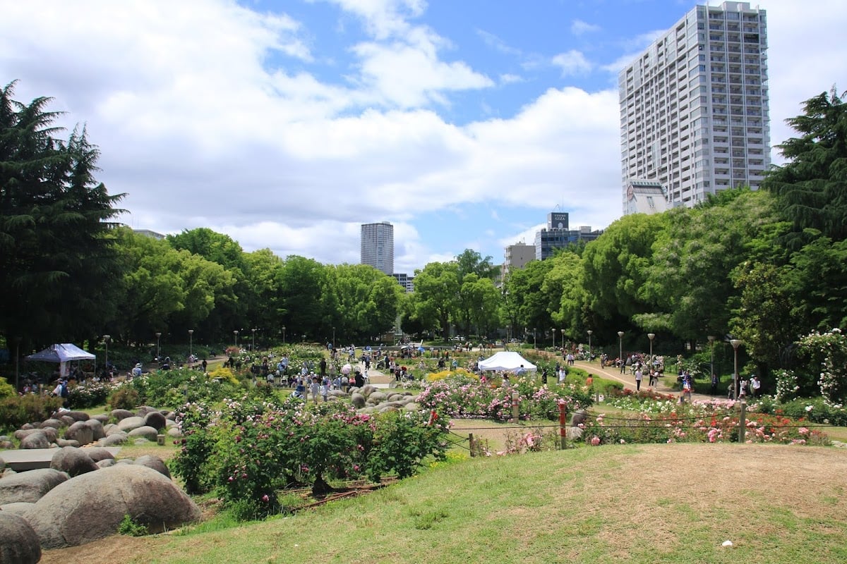 バラ園