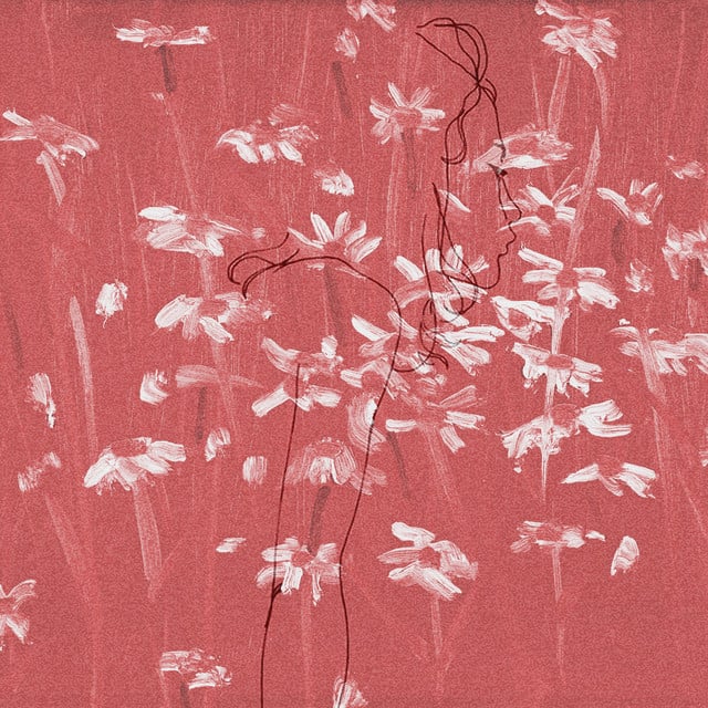 chapter 1 - Album · girl in red