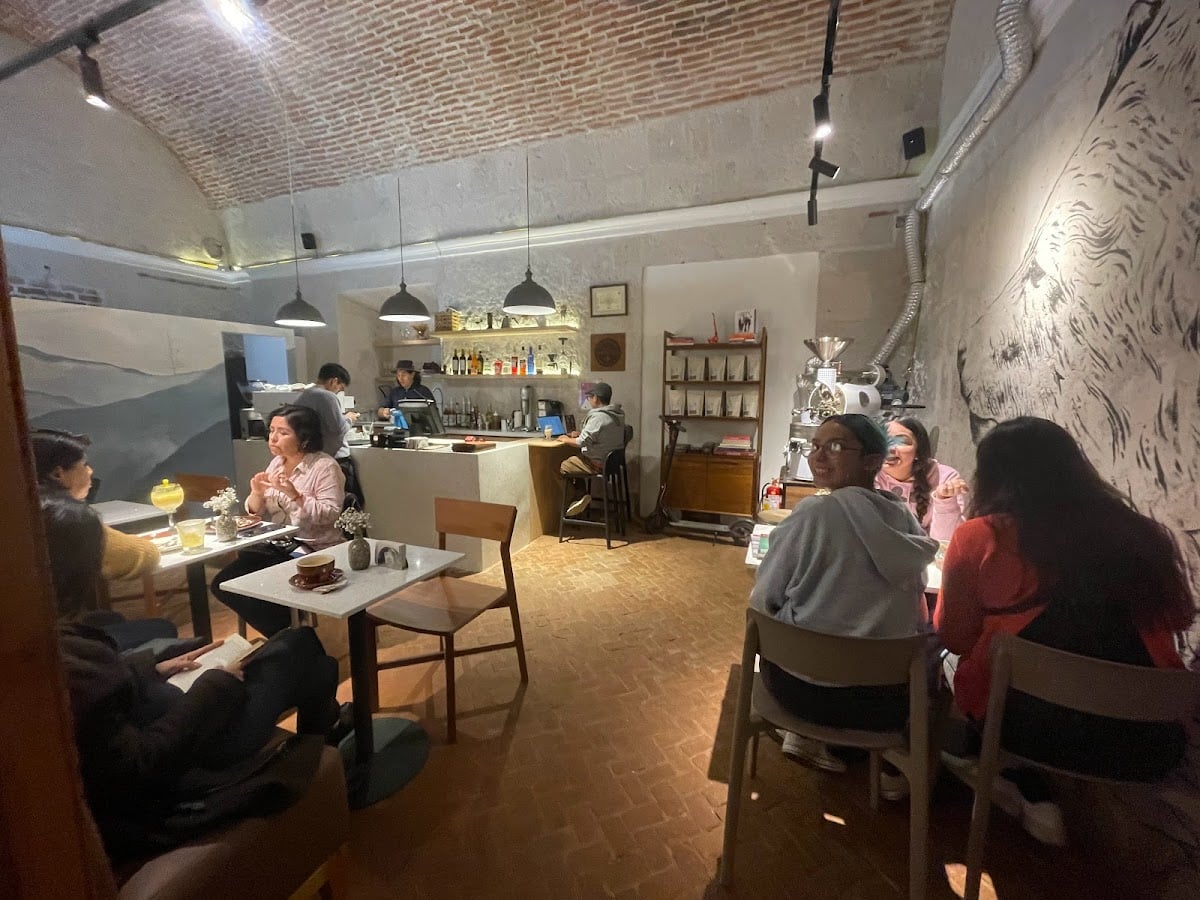 Oso Café Arequipa