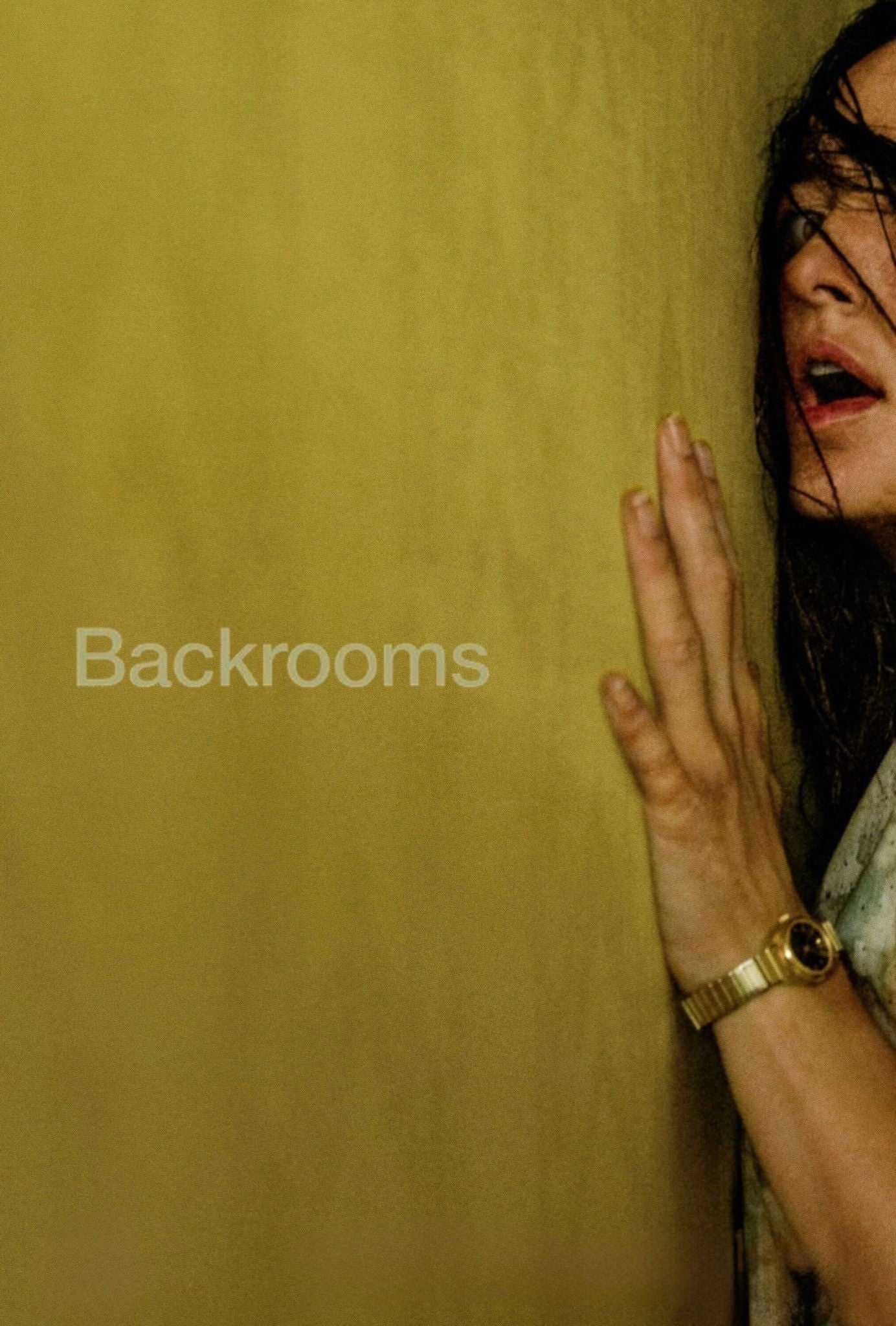 Backrooms - 2026