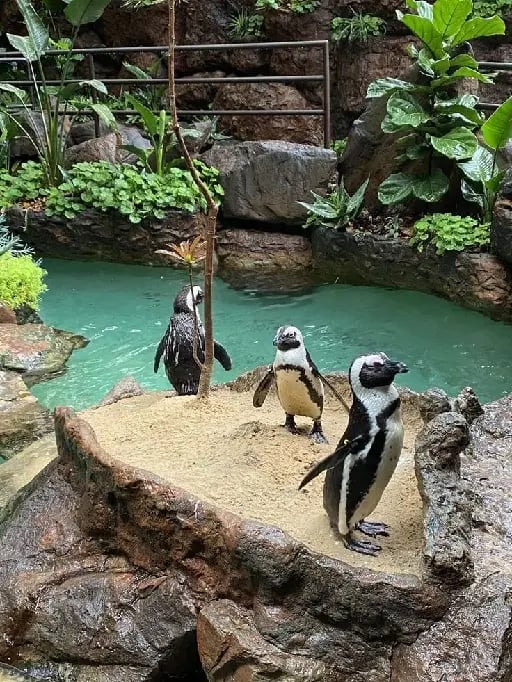 zoo