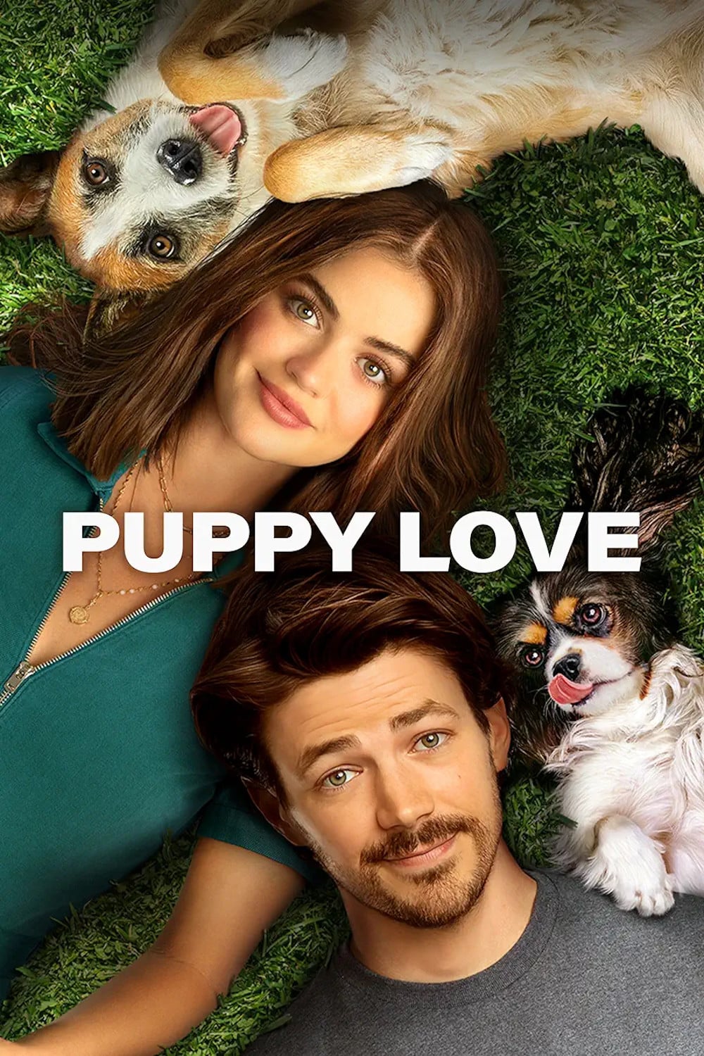 Puppy Love - Richard Alan Reid · 2023