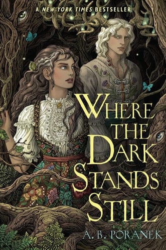 Where the Dark Stands Still - A. B. Poranek