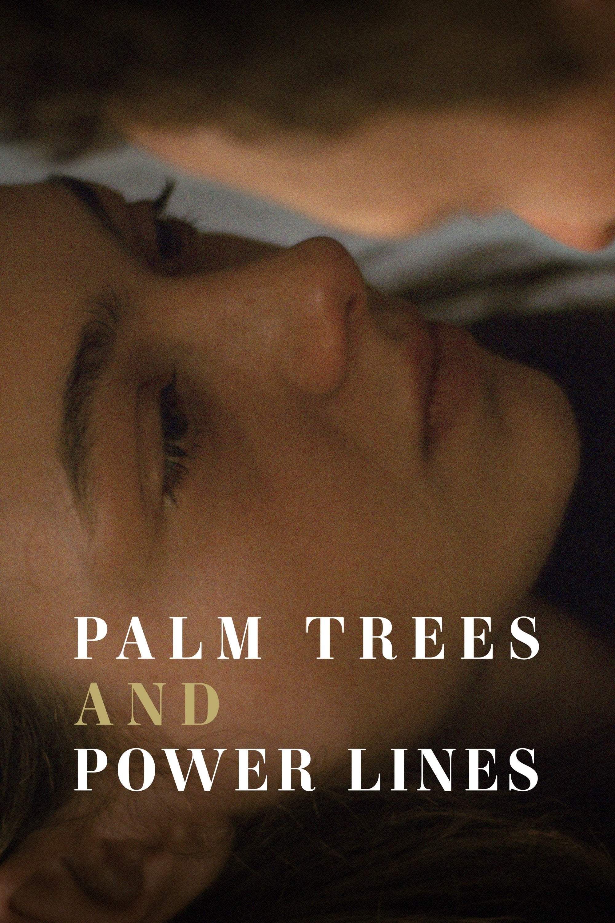 Palm Trees and Power Lines - Jamie Dack · 2023