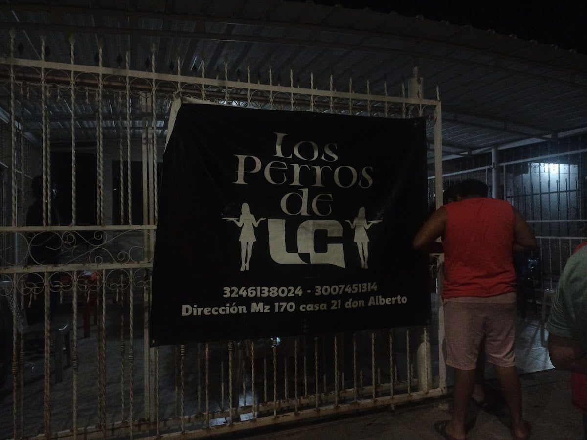 Los perros de LG