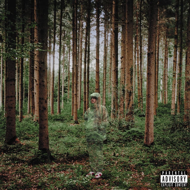 Murderer - Song · grandson