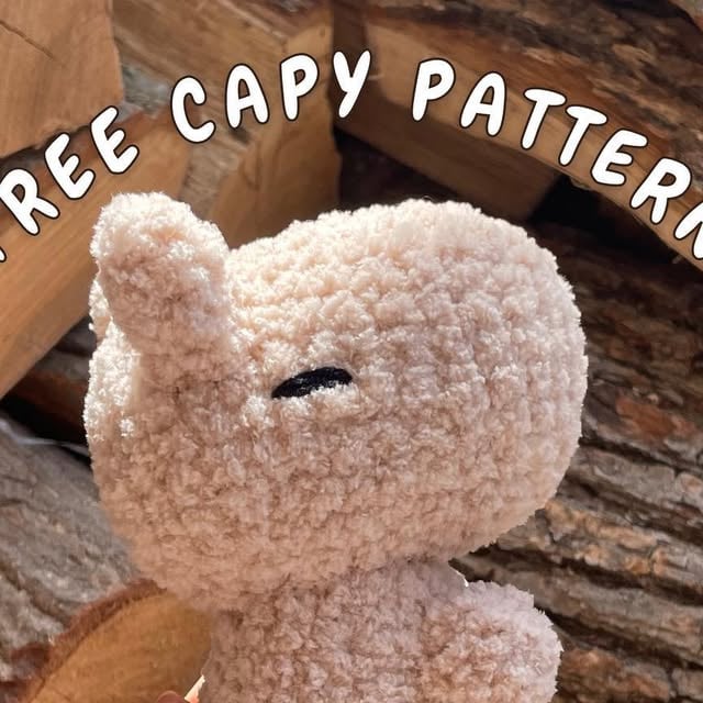 Capy - instagracom