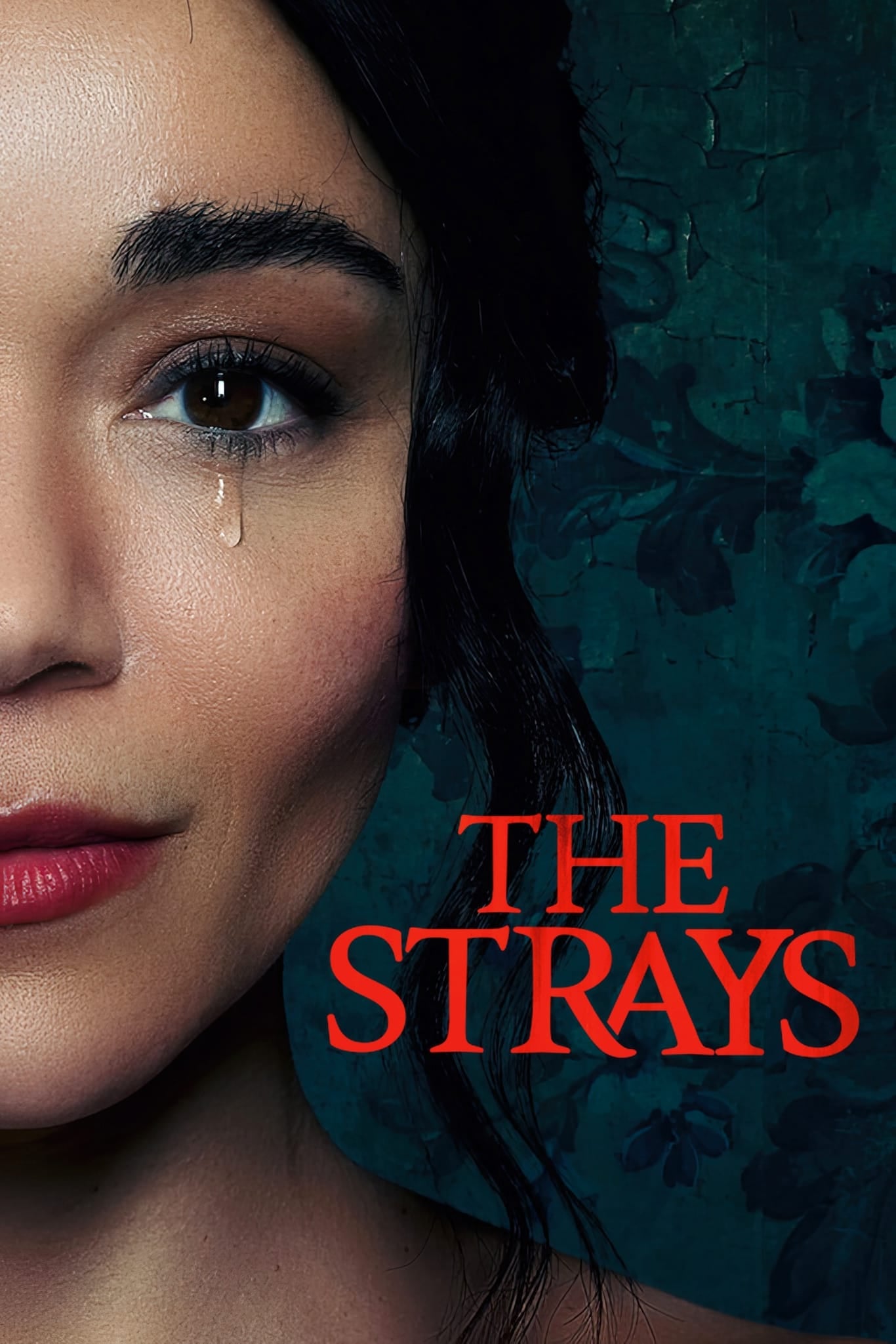 The Strays - Nathaniel Martello-White · 2023
